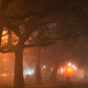 Illustration for article titled 12 Hours In Savannah. A Guide To the Spooky Citys Best Haunts